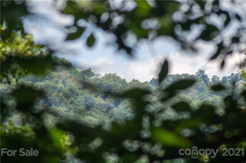 Property image 4 at 99999 Buena Vista Drive, Barnardsville, NC 28709