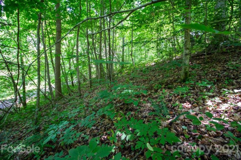 Property image 5 at 99999 Buena Vista Drive, Barnardsville, NC 28709