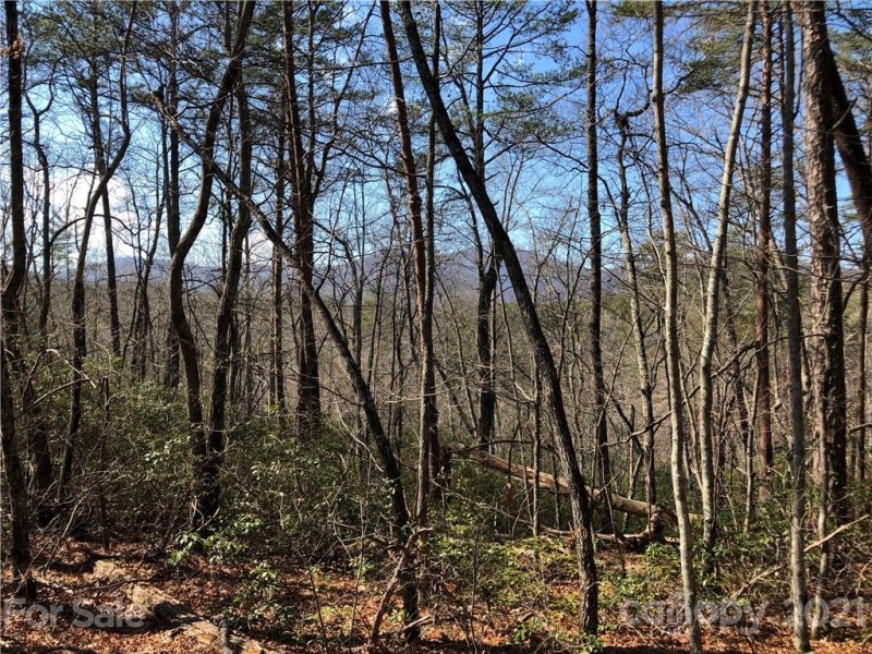 Property image 2 at Lt 39 40 Justice Drive, Lake Lure, NC 28746