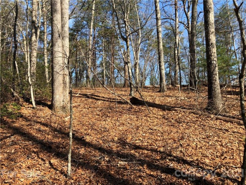 Property image 3 at Lt 39 40 Justice Drive, Lake Lure, NC 28746