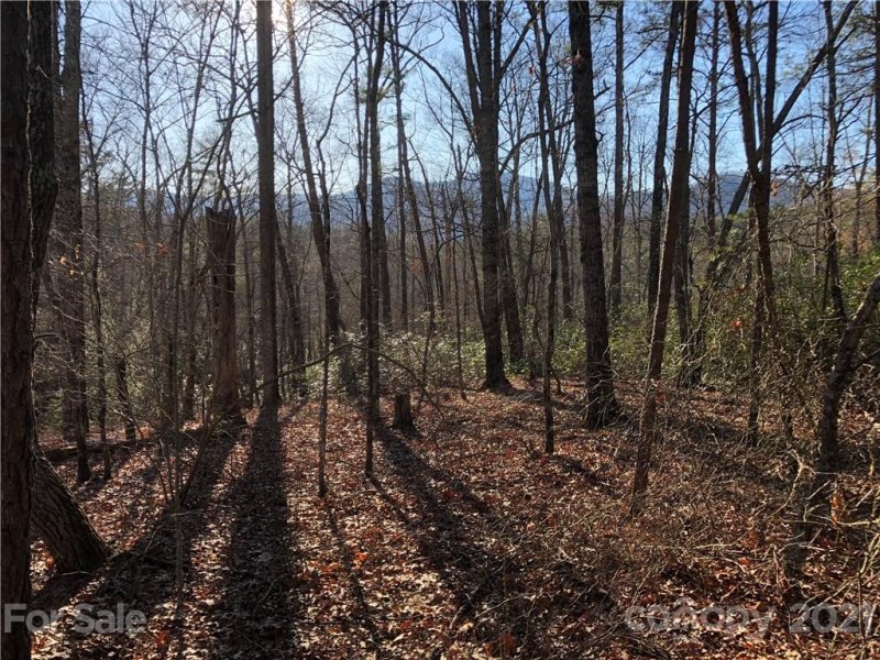 Property image 4 at Lt 39 40 Justice Drive, Lake Lure, NC 28746