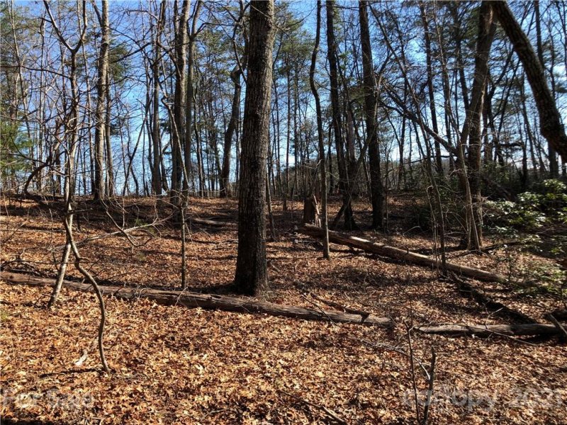 Property image 5 at Lt 39 40 Justice Drive, Lake Lure, NC 28746