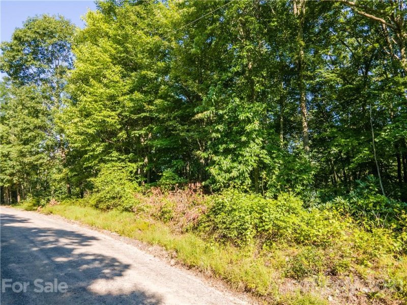 00 Plott Balsam Road