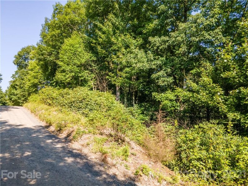 Property image 3 at 00 Plott Balsam Road, Maggie Valley, NC 28751