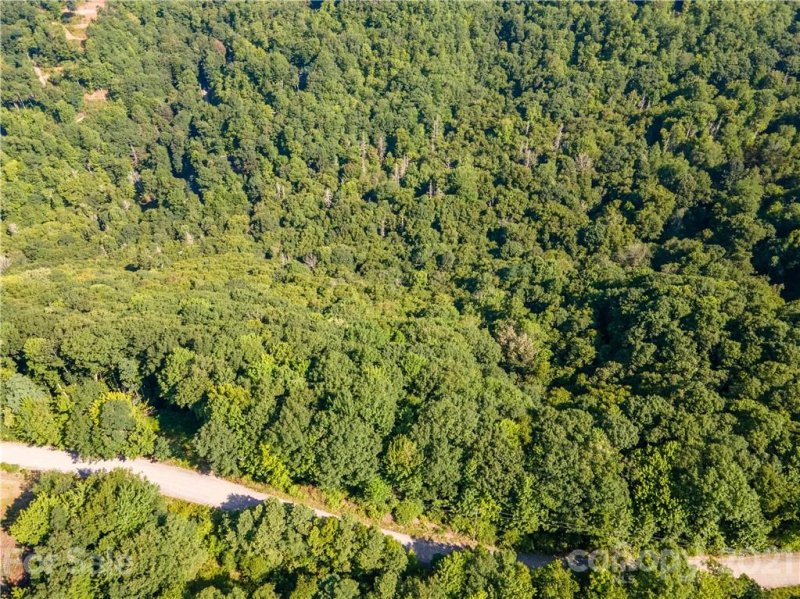 Property image 4 at 00 Plott Balsam Road, Maggie Valley, NC 28751