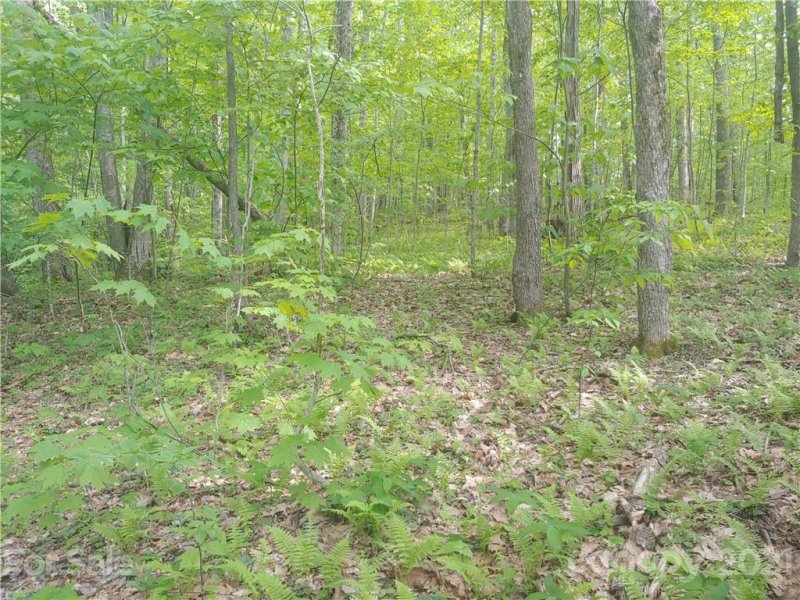 Property image 2 at 31 Sleigh Bell Trail, Maggie Valley, NC 28751