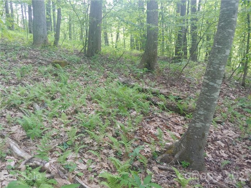 Property image 3 at 31 Sleigh Bell Trail, Maggie Valley, NC 28751