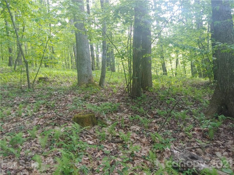 Property image 5 at 31 Sleigh Bell Trail, Maggie Valley, NC 28751