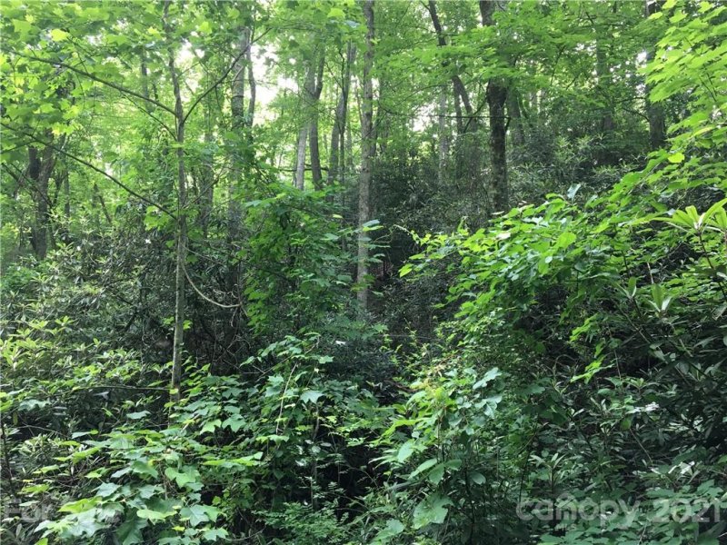 Property image 3 at 9999 Sovereign Lane, Fairview, NC 28730