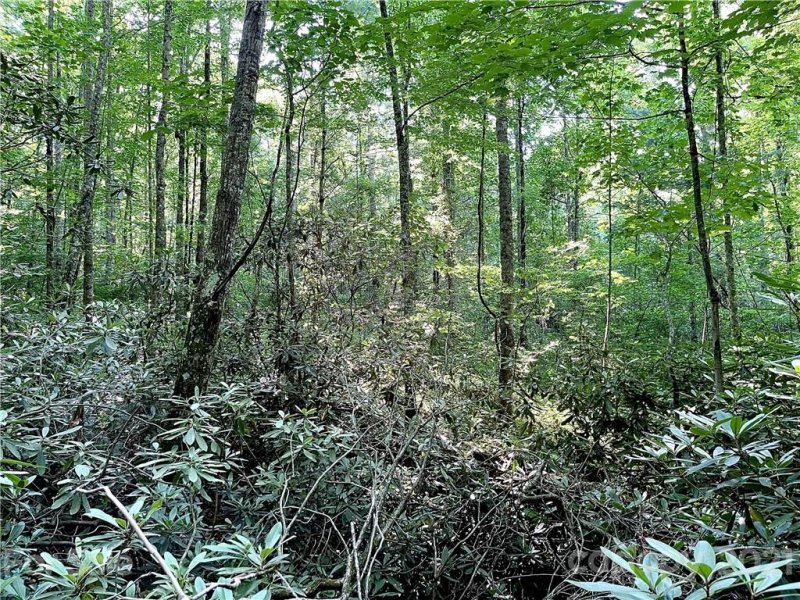 Property image 5 at 9999 Sovereign Lane, Fairview, NC 28730