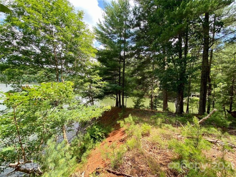 Property image 3 at 1503 Black Forest Drive, Marion, NC 28752