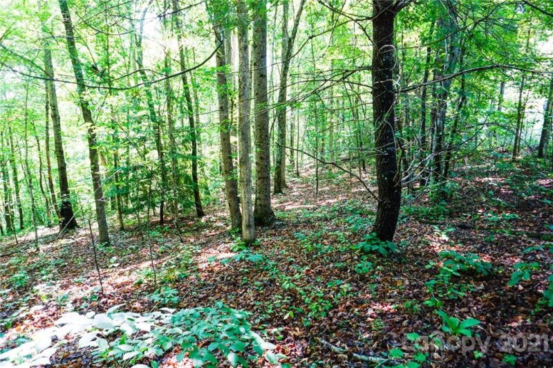 Property image 3 at Lot 28a Greenhill Farms Drive, Rutherfordton, NC 28139