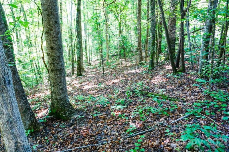 Property image 4 at Lot 28a Greenhill Farms Drive, Rutherfordton, NC 28139