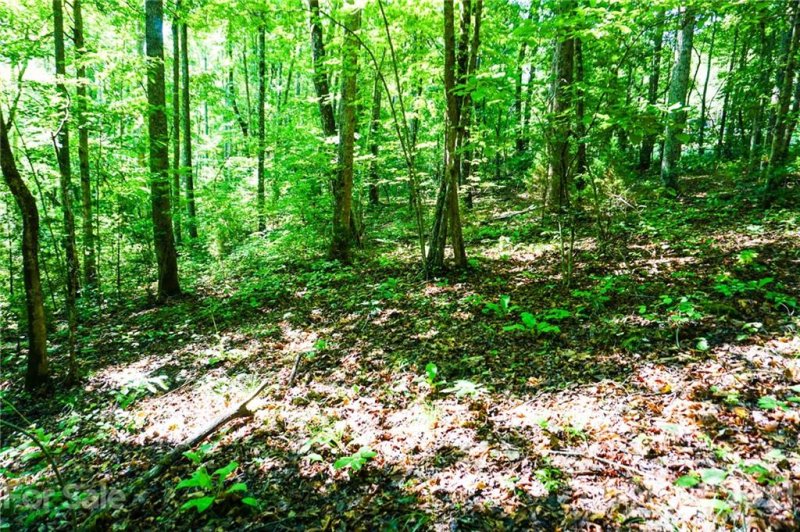 Property image 5 at Lot 28a Greenhill Farms Drive, Rutherfordton, NC 28139