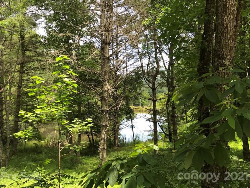 Property image 5 at 550 Echo Hill Drive, Green Mountain, NC 28740