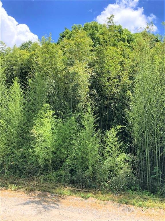 Property image 3 at Lot 3 Water Wheel Cove, Clyde, NC 28721