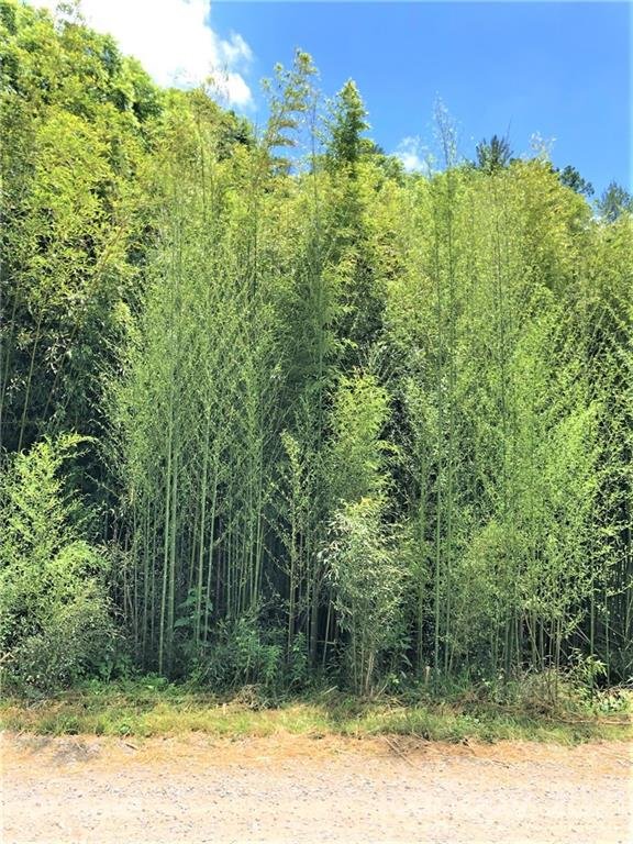 Property image 5 at Lot 3 Water Wheel Cove, Clyde, NC 28721