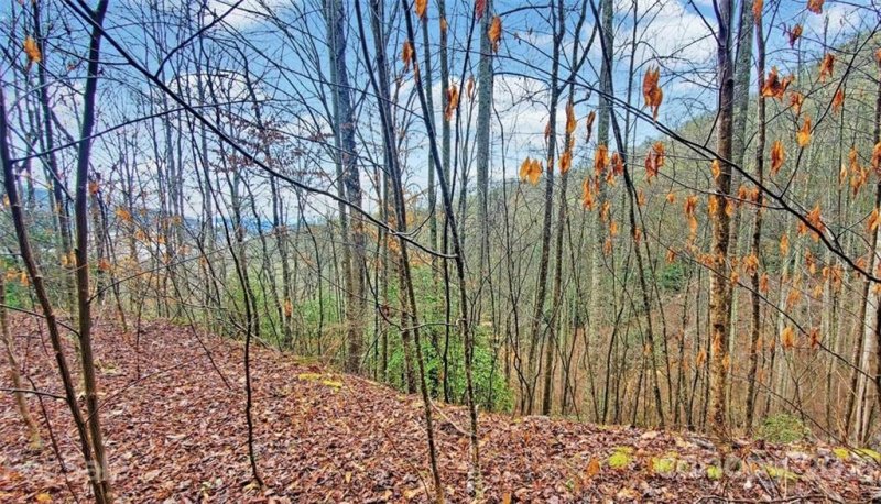 Property image 4 at 361 Little Bit Trail, Whittier, NC 28789