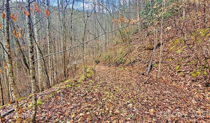 Property image 5 at 361 Little Bit Trail, Whittier, NC 28789