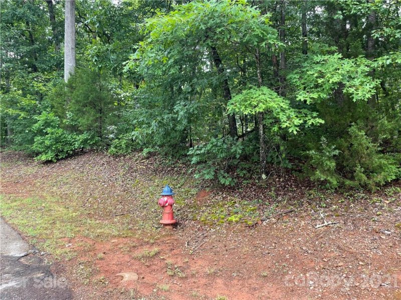 Property image 2 at 0 Moss Drive, Rutherfordton, NC 28139