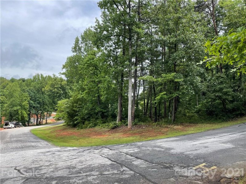 Property image 3 at 0 Moss Drive, Rutherfordton, NC 28139