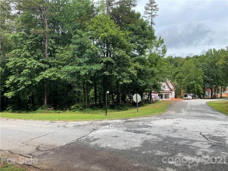 Property image 4 at 0 Moss Drive, Rutherfordton, NC 28139