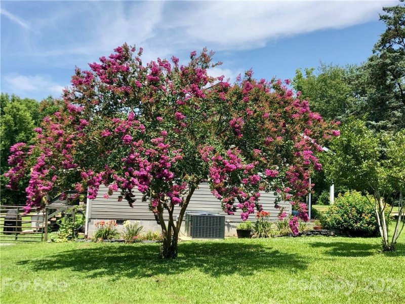 Property image 4 at 800 Pitts Road, Catawba, SC 29704