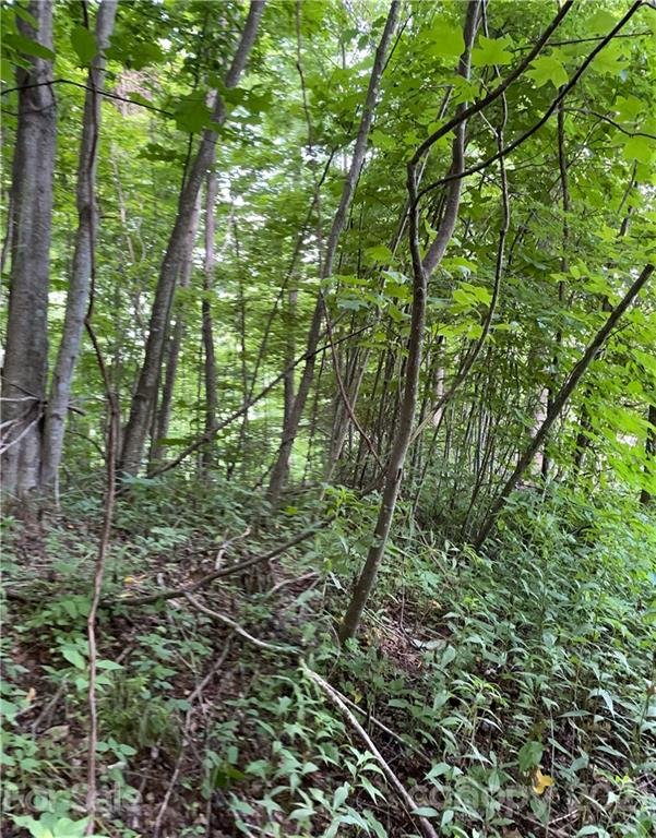 Property image 2 at 208 Aerial Ridge, Waynesville, NC 28785