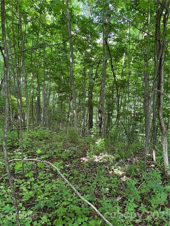 Property image 3 at 208 Aerial Ridge, Waynesville, NC 28785