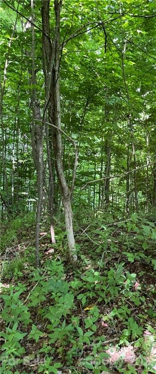 Property image 4 at 208 Aerial Ridge, Waynesville, NC 28785