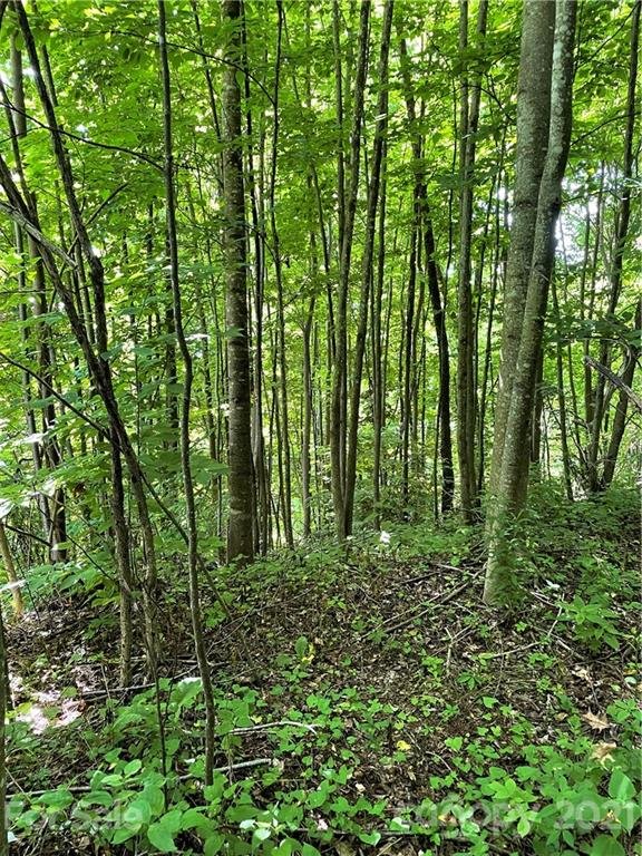 Property image 5 at 208 Aerial Ridge, Waynesville, NC 28785