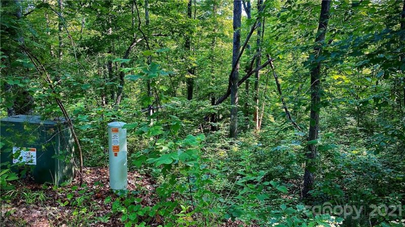 Property image 5 at 0 Black Rock Drive, Rutherfordton, NC 28139