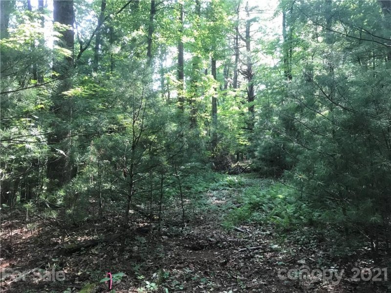 Property image 4 at Tbd Severly Lane, Brevard, NC 28712