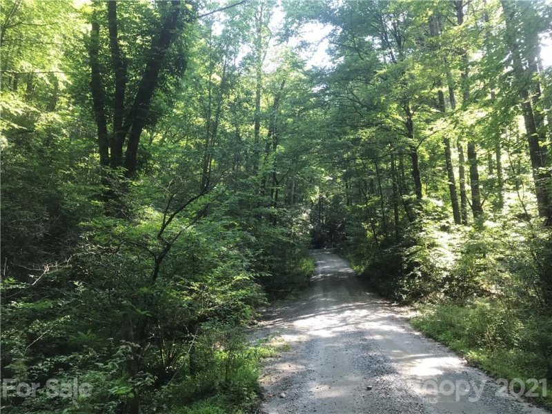 Property image 5 at Tbd Severly Lane, Brevard, NC 28712