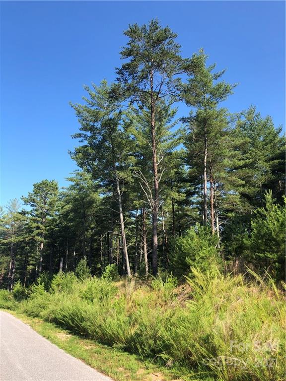 Property image 2 at 73 N Slope Drive, Nebo, NC 28761