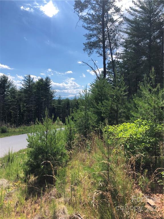 Property image 3 at 73 N Slope Drive, Nebo, NC 28761