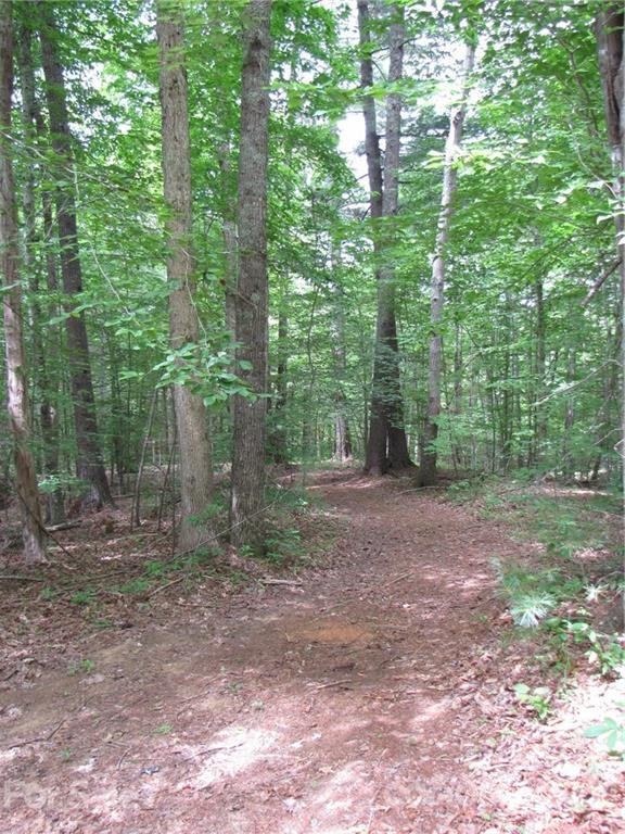 Property image 2 at 1 Cherie Court, Mars Hill, NC 28754