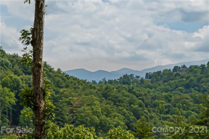 Property image 4 at 223 Starling Pass, Asheville, NC 28804