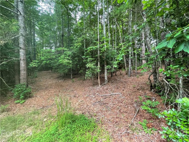 Property image 3 at L161 Eagle Lake Drive, Brevard, NC 28712