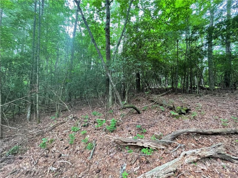 Property image 4 at L161 Eagle Lake Drive, Brevard, NC 28712