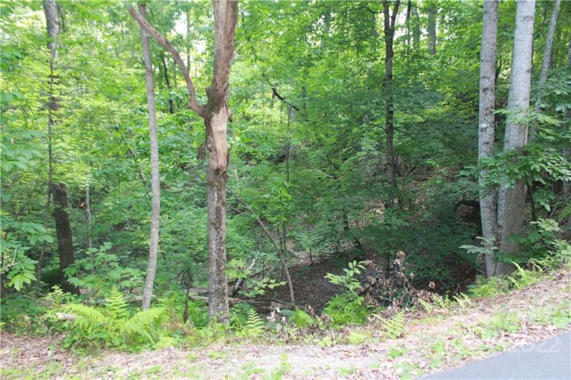 Property image 2 at 000 Justice Drive, Lake Lure, NC 28746