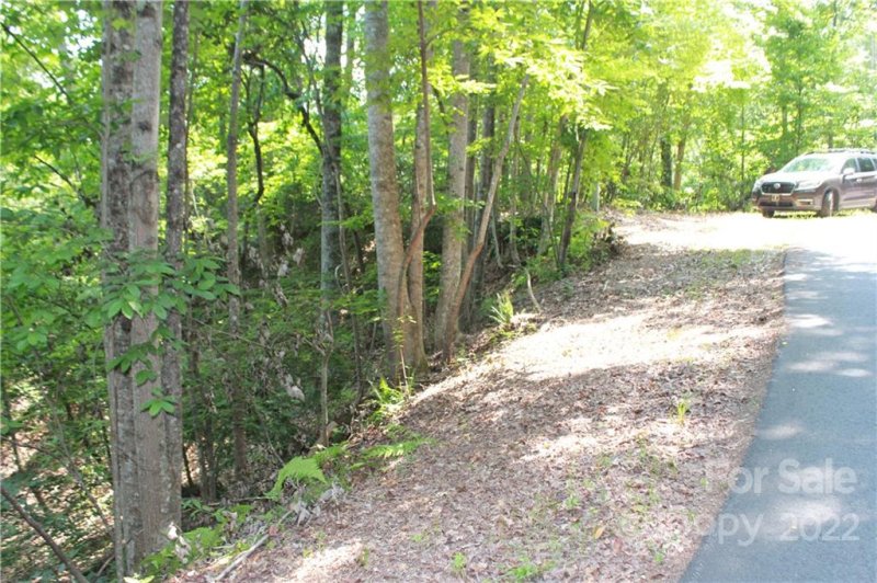 Property image 3 at 000 Justice Drive, Lake Lure, NC 28746