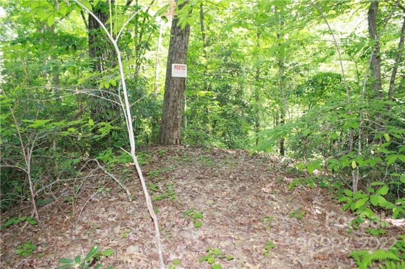 Property image 5 at 000 Justice Drive, Lake Lure, NC 28746