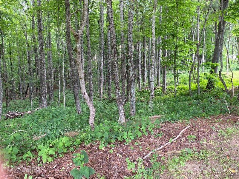 Property image 2 at 000 Overlook Drive, Spruce Pine, NC 28777