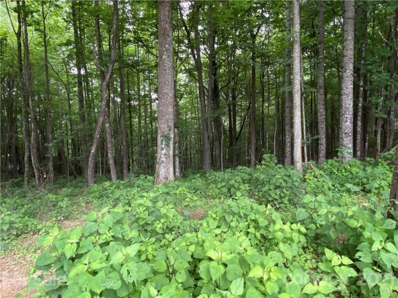 Property image 5 at 000 Overlook Drive, Spruce Pine, NC 28777