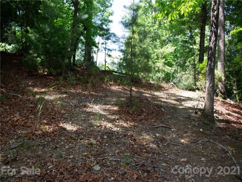 Property image 2 at 323 Shining Rock Path, Horse Shoe, NC 28742