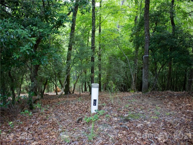 Property image 5 at 323 Shining Rock Path, Horse Shoe, NC 28742