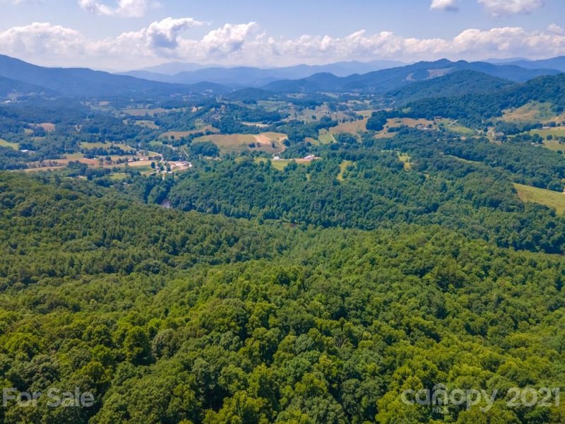 Property image 5 at 9 Walnut Ridge Drive, Clyde, NC 28721