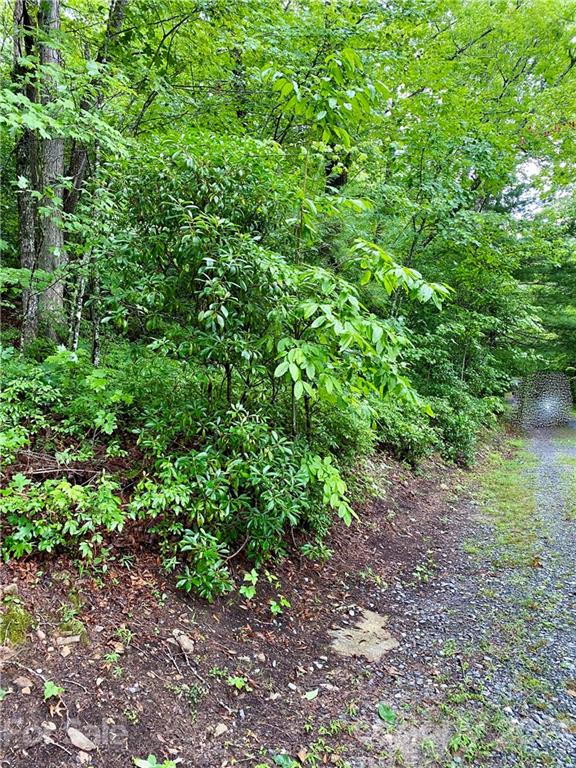 Property image 5 at 12b Dogwood Circle, Penrose, NC 28766