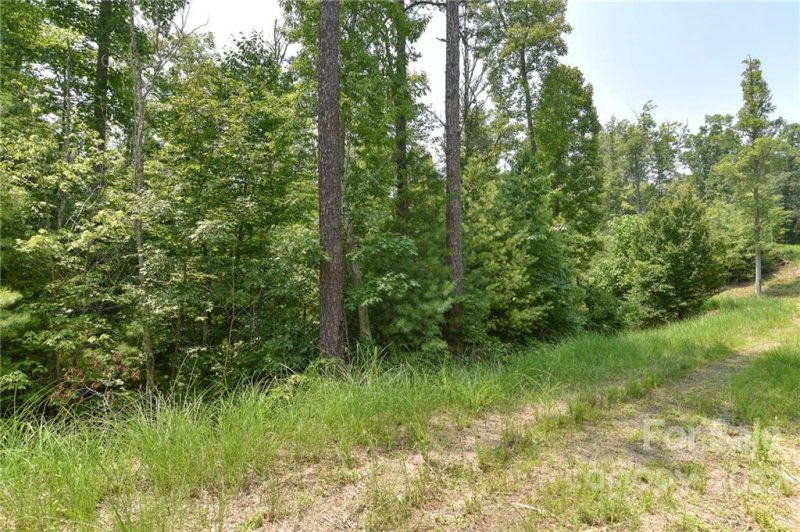 Property image 4 of Lot 2 The Vines Boulevard in The Vines, Marshall, NC 28753